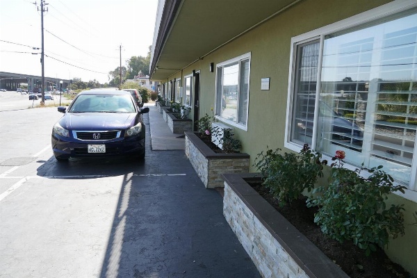 Muir Woods Lodge image 6